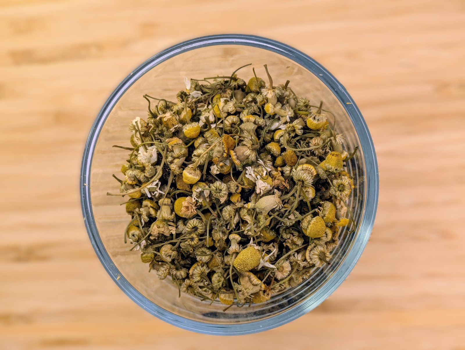 German Chamomile