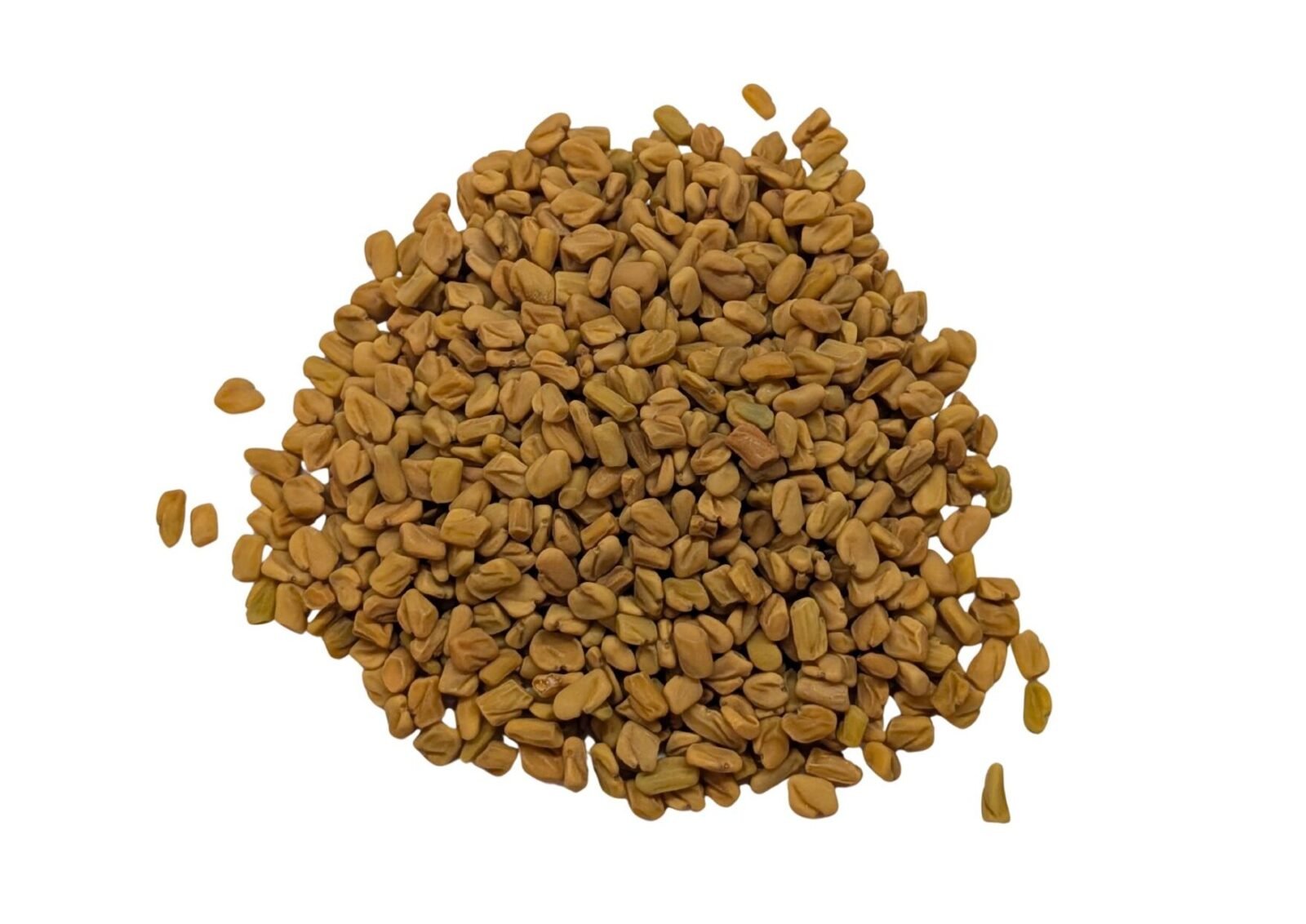 Fenugreek