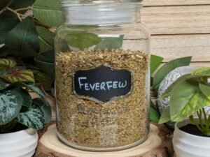 Feverfew