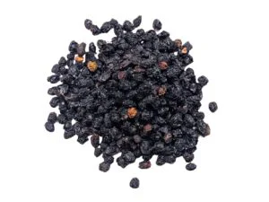 Elderberry